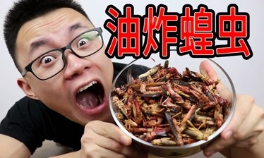 尬王李灿:油炸蝗虫很营养?