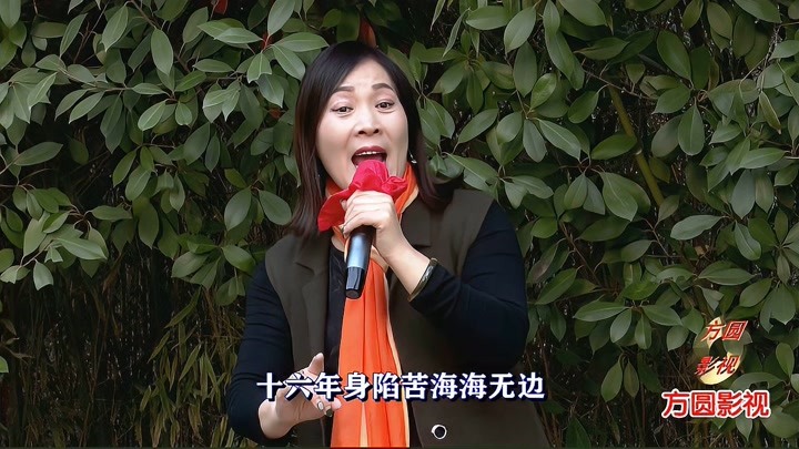 实力派优秀青年演员李燕演唱《风雨行宫》十六年未曾见过娇儿面