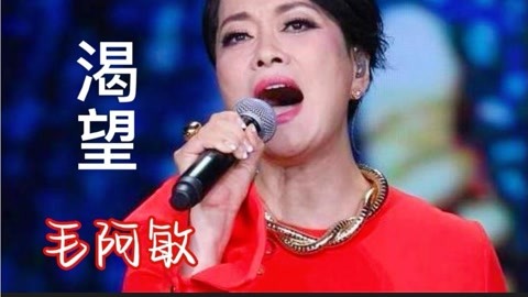 毛阿敏原唱一首经典老歌《渴望》感人的歌曲,唱尽人生的辛酸!