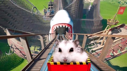小仓鼠大冒险:挑战游乐园鲨鱼过山车,艺高胆大的小仓鼠完美通过