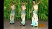 傣族舞蹈教学视频
