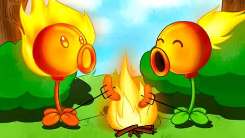 火焰豌豆的一生图片