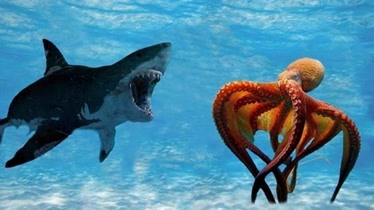 章鲨vs巨大鲳齿鱼图片