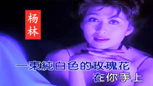 杨林《玫瑰情话》，港台怀旧情歌，MTV原版