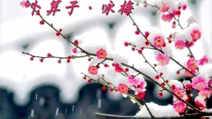 卜算子咏梅简谱_卜算子·咏梅(3)