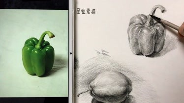 靜物單體素描大青椒原來還能這麼簡單