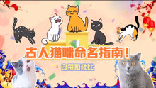 [图]不知道猫咪起什么名字好？来学学古人的脑洞吧！