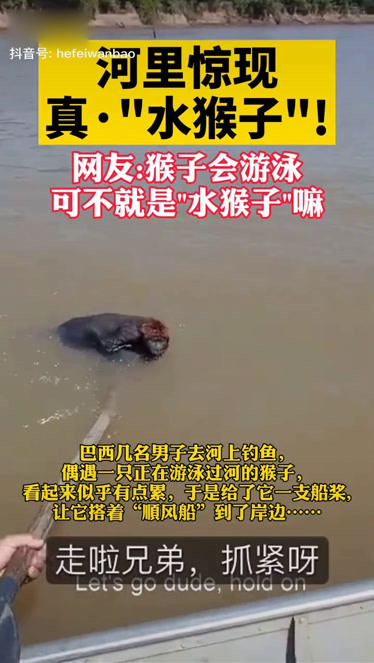 河裡驚現真水猴子網友猴子會游泳可不就是水猴子嗎