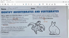 脊椎动物和无脊椎动物vertebrates vs invertebrates