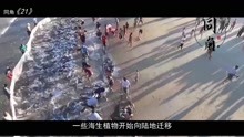 [图]如果把地球46亿年历史压缩成1天，会发生什么？