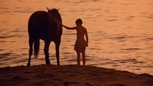 小孩遇到海难，却被一匹马救活，从此流落荒岛相依为命！