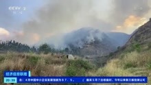 云南大理发生森林火灾 近千人正在扑救