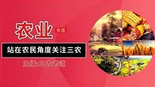 [图]2021年：粮补何时打卡？每亩补贴多少钱？​土地有哪些新变化？