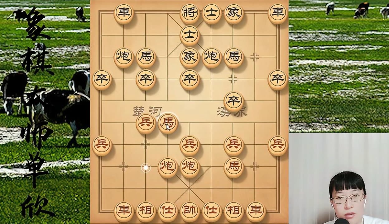 象棋大师单欣图片图片