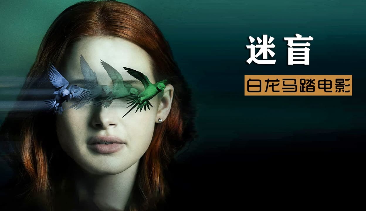 角色扮演世界在线观看(角色扮演在线观看 rmvb 下载)