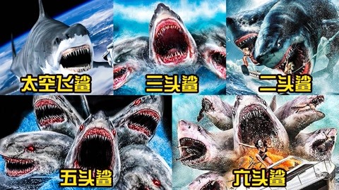 中国变异鲨鱼怎么画图片
