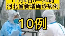 2021年11月4日0—24时，河北省新增新型冠状病毒肺炎确诊病例10例（其中石家庄市9例、辛集市1例）疫情