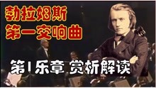 [图]勃拉姆斯第一交响曲第一乐章解读赏析（伯姆1975）