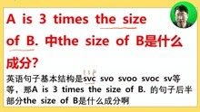 问题：A is 3 times the size of B. 中the size of B是什么成分