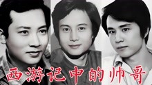 86版《西游记》中帅哥演员：王伯昭、林志谦、龚鸣、徐少华、杨斌
