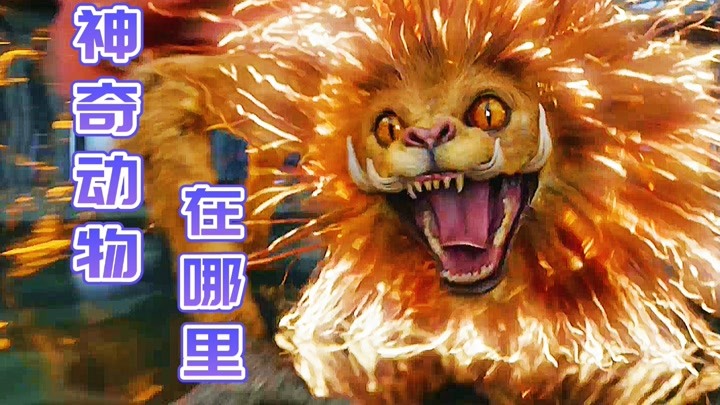 中国神兽霸气登场，携手魔法界与黑巫师展开奇幻对决《神奇动物》