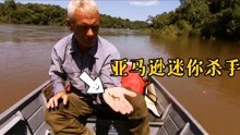 河中巨怪：亚马逊河迷你杀手，男孩子看完就不敢去河边上厕所了！