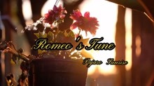 甜美清新英文歌《Romeo's Tune》，听到前奏就被吸引住了，超好听