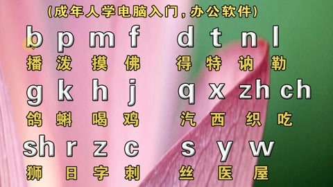 中老年成人拼音打字快速入門教學,零基礎學好拼音拼讀,打字不難