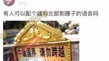 [图]爆笑：有人能配一段缅北噶腰子声音吗？