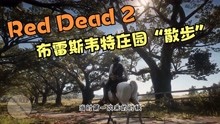 [图]Red Dead 2：布雷斯韦特庄园“散步”