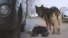 韩国大狼狗连环杀人案，为了复仇男人煞费苦心，《嚎叫》详细解说