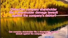 China：Can company shareholder file a shareholder da