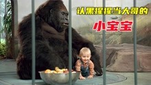 喜剧：小宝宝被人绑架，谁知他爬进动物园里，认一只黑猩猩当大哥