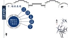 [图]一例ANCA相关性小血管炎患者的护理查房PPT