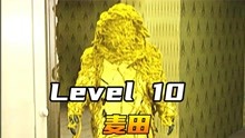 Level10麦田
