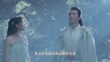 [图]苍兰诀：小兰花竟是神女转世，因婚约被迫嫁给战神长珩！