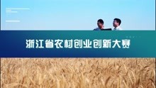“建行杯”第六届浙江省农村创业创新大赛正式启动，欢迎来战！