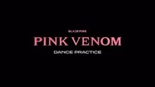 [图]Pink Venom练习室版