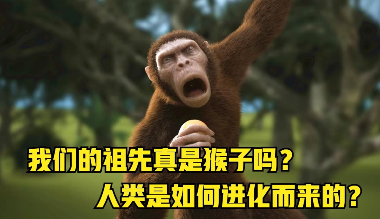 我们的祖先真是猴子吗?那么人类到底是怎么进化而来的?