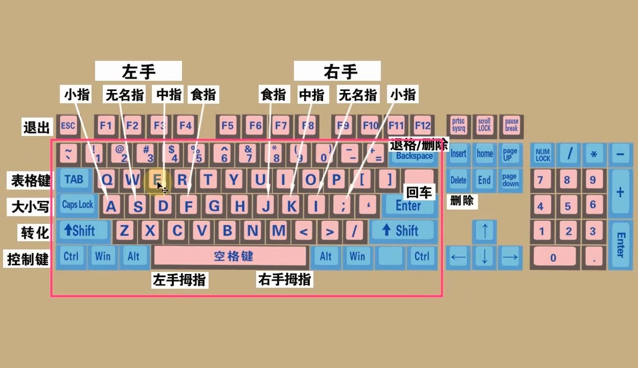 零基礎學電腦打字入門教程,老師一步一步教會你-教育視頻-免費在線