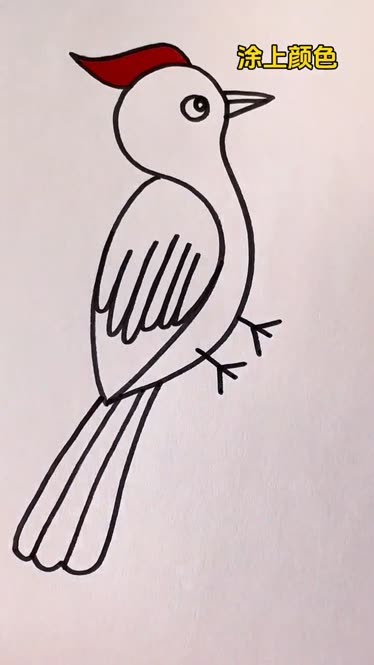 用s画啄木鸟,简笔画