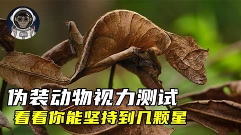 偽裝動物視力測試,看看你能堅持到幾顆星