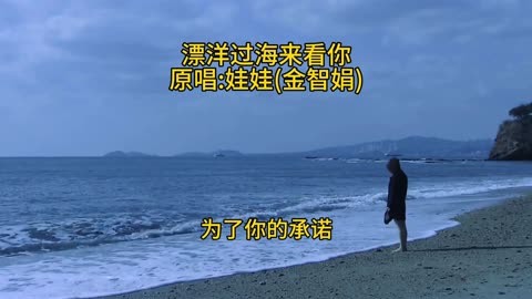 漂洋过海来看你 原唱:娃娃(金智娟)