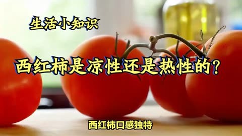 西红柿是凉性还是热性的?西红柿大揭秘:到底属于凉性还是热性?