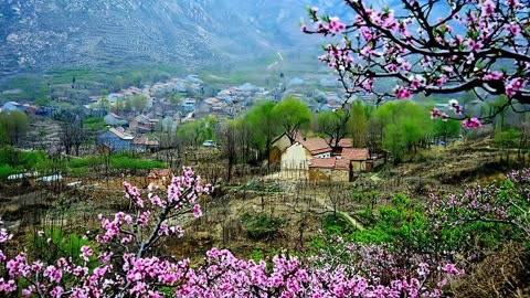 临朐嵩山桃花节图片