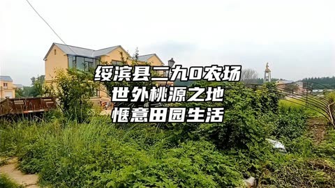 鹤岗绥滨县二九0农场,夏天避暑世外桃源之地,惬意东北田园生活