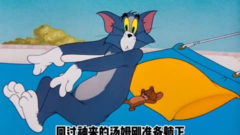 猫和老鼠 我的汤姆猫短片 老动画的魅力 猫鼠大战