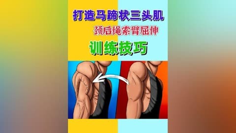 绳索颈后臂屈伸图片